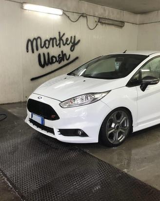 Ford Fiesta 3p 1.6 ST 182cv E6