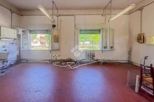 NEGOZIO A CASTELVETRO DI MODENA