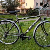 Bicicletta Da Uomo 