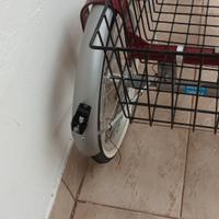 bicicletta a tre ruote
