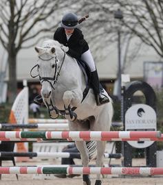 Cavallo da salto ostacoli
