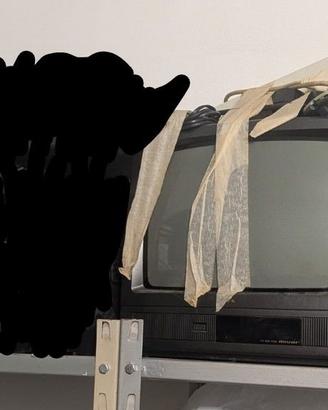 TV 14" a tubo catodico per RETROGAMERS