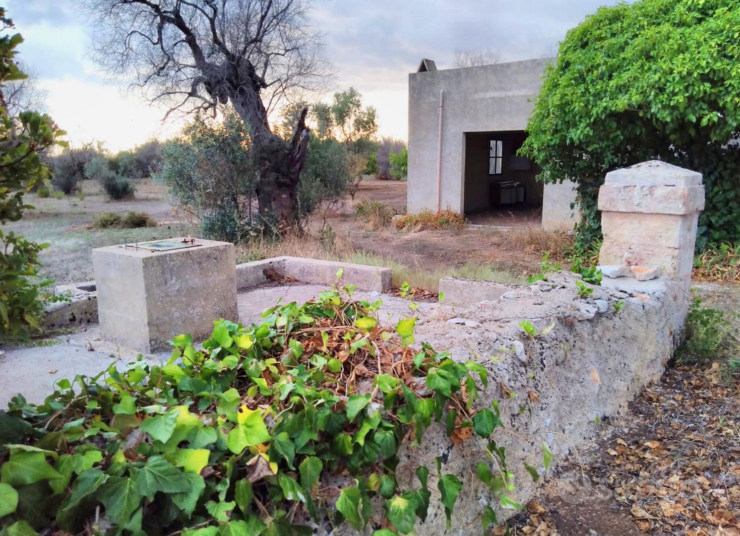 Terreno Uliveto Casa Campagna Rustico Salento - Vista 4