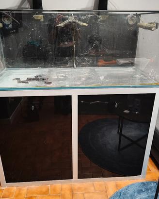 acquario marino 400lt  130*60