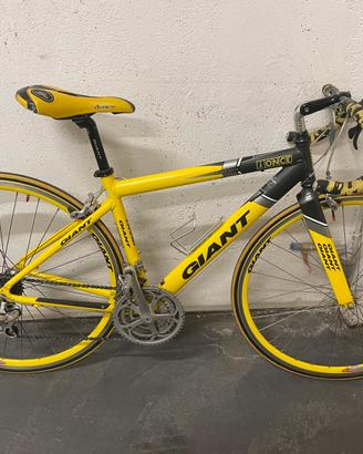 Bici da corsa Giant 28 (700x23) Campagnolo