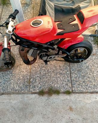 Minimoto