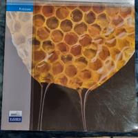 Libro Introduzione alla Chimica Organica