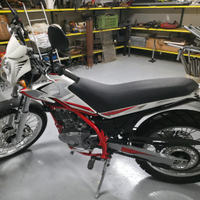 Beta 200 alp