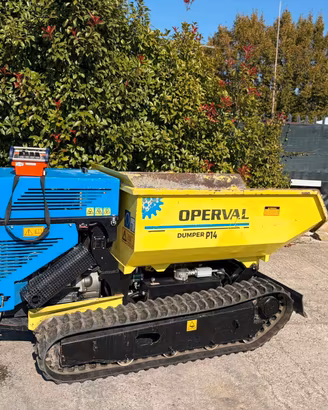 M159 - Dumper radiocomandato ribaltabile seminuovo