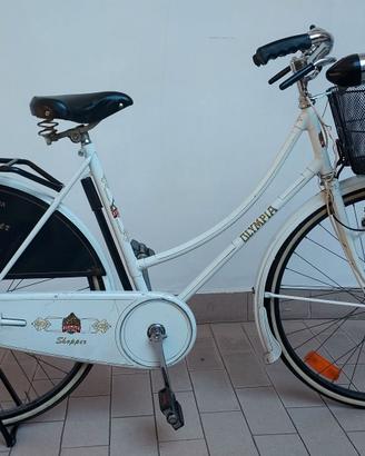 Bicicletta tipo olandese