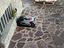 Immagine 2