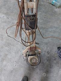 Monospazzola Raimondi