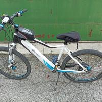 Bicicletta elettrica