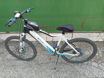 Bicicletta elettrica