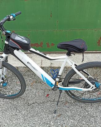 Bicicletta elettrica
