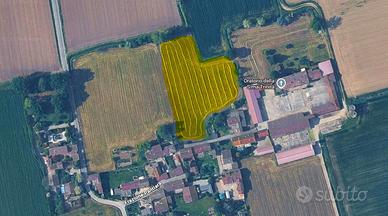 Terreno agricolo 7.000 mq - Borghetto, Pantiara