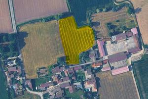 Terreno agricolo 7.000 mq - Borghetto, Pantiara