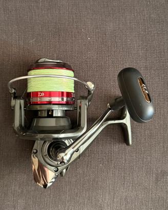 Daiwa mulinelli shorecast