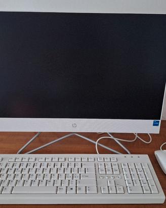 COMPUTER HP ALL- IN- ONE 24 POLLICI 