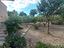 Immagine 28