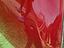 Immagine 9