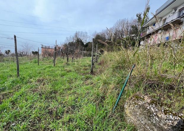 Terreno, Salerno.