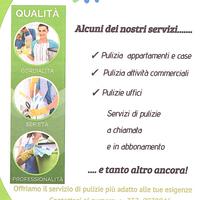 Impresa di pulizie AEDIS