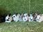 Immagine 3