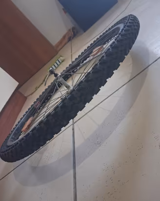 ruota bici