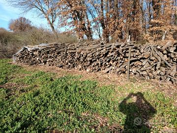 Legna da ardere 