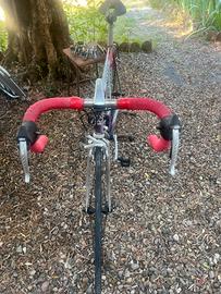 Colnago Decor