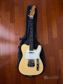 Chitarra elettrica telecaster HB