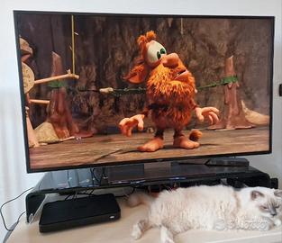 Smart tv samsung 55 pollici 