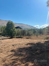 Terreno