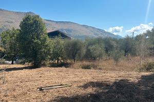 Terreno