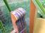 Immagine 4