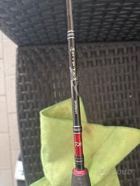 Canna daiwa