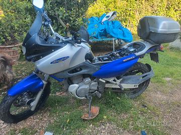 suzuky 650 freewind