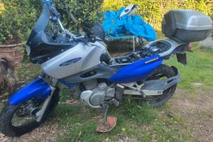 suzuky 650 freewind