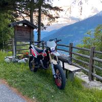 Beta 50 rr 2019