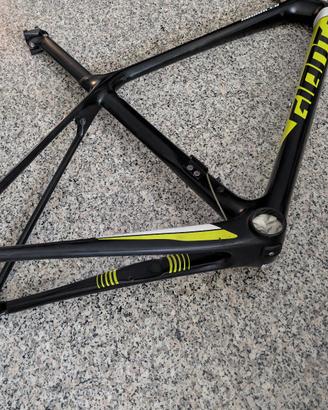 telaio in carbonio giant