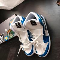 Nike jordan nr 44