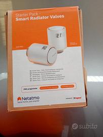 valvola termostato digitale netamo