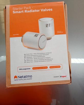 valvola termostato digitale netamo