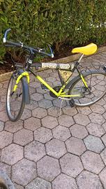 Bicicletta daTrekking Vintage