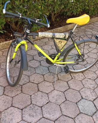 Bicicletta daTrekking Vintage