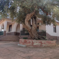 Villa unifamiliare 250 mq. Altavilla Milicia