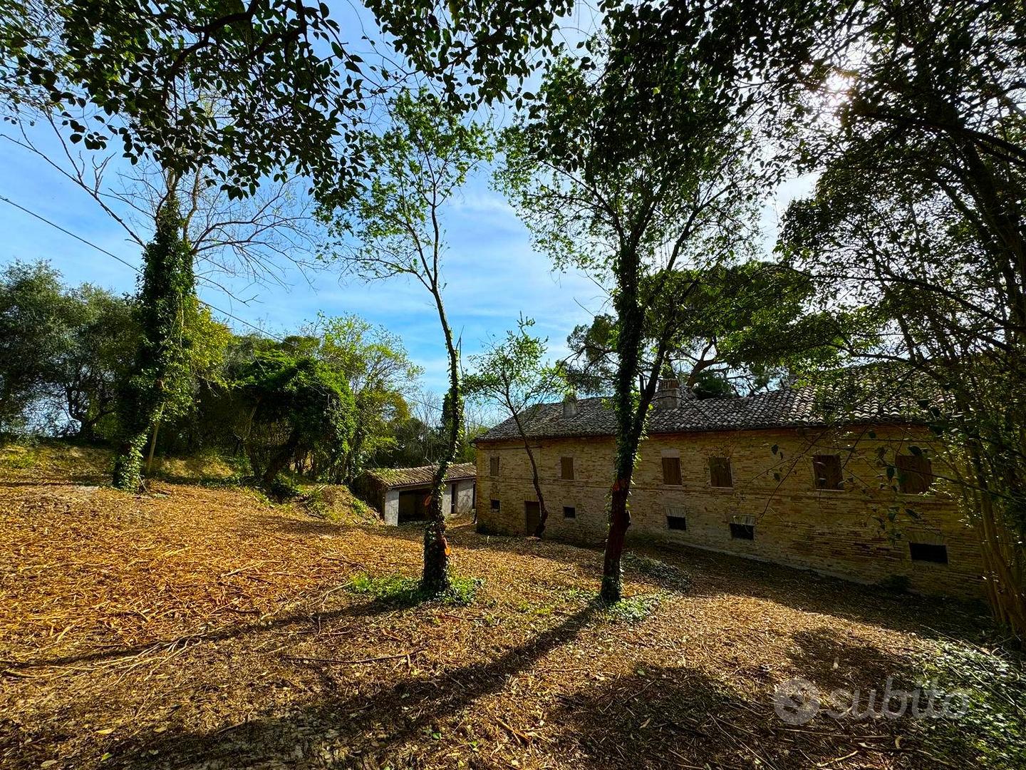 Casa Colonica con Terreno - Sant'Elpidio a Mare - Vista 4