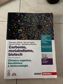 Carbonio, metabolismo e biotech