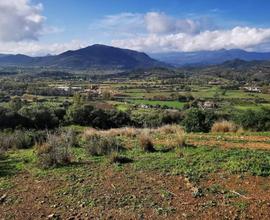 TERRENO AGRICOLO A LOTZORAI.